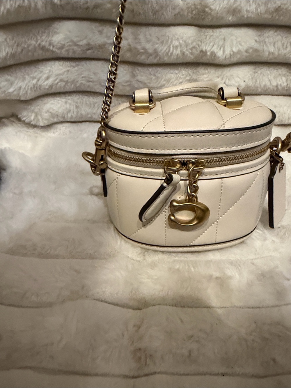 Coach Cream Quilted Crossbody Vanity Bag with Gold Hardware